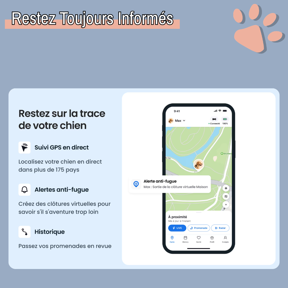 Collier gps pour chien tractive partenaire officiel france la niche de jules restez informé