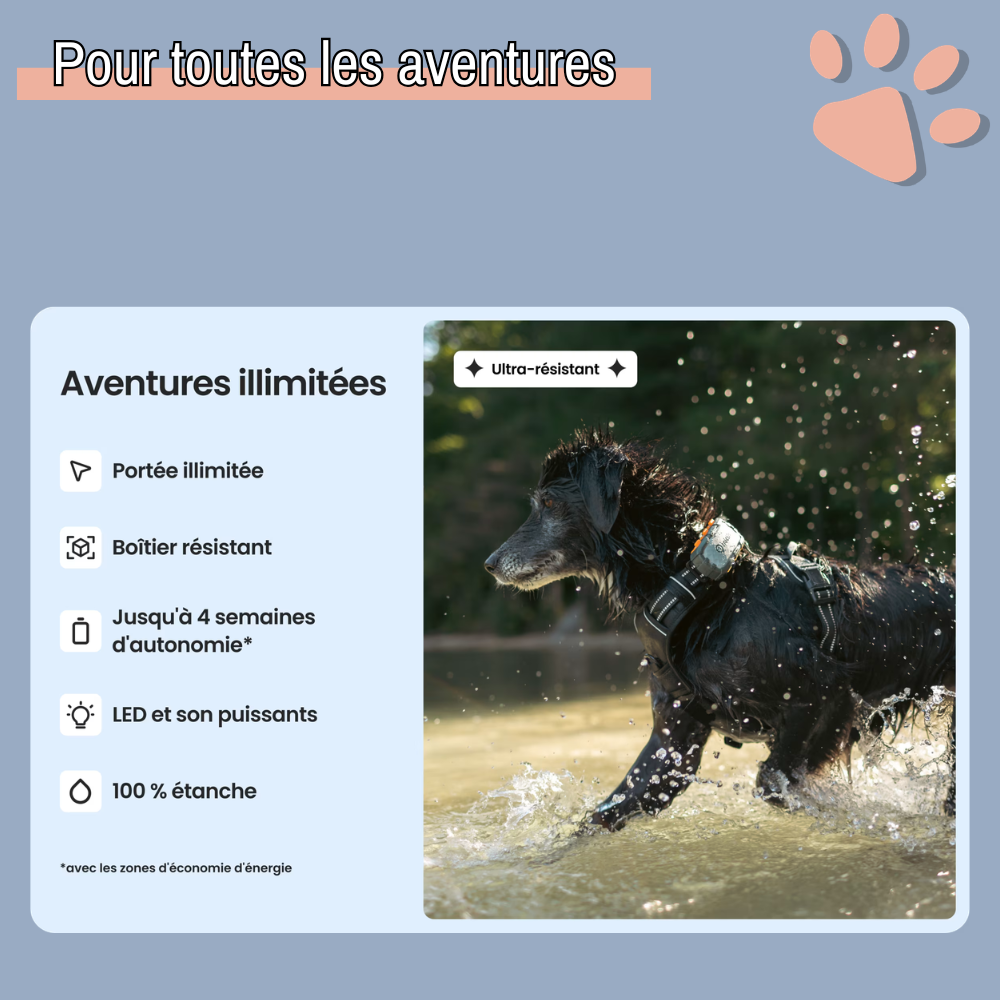 Collier gps pour chien tractive partenaire officiel france la niche de jules aventure sécurisée