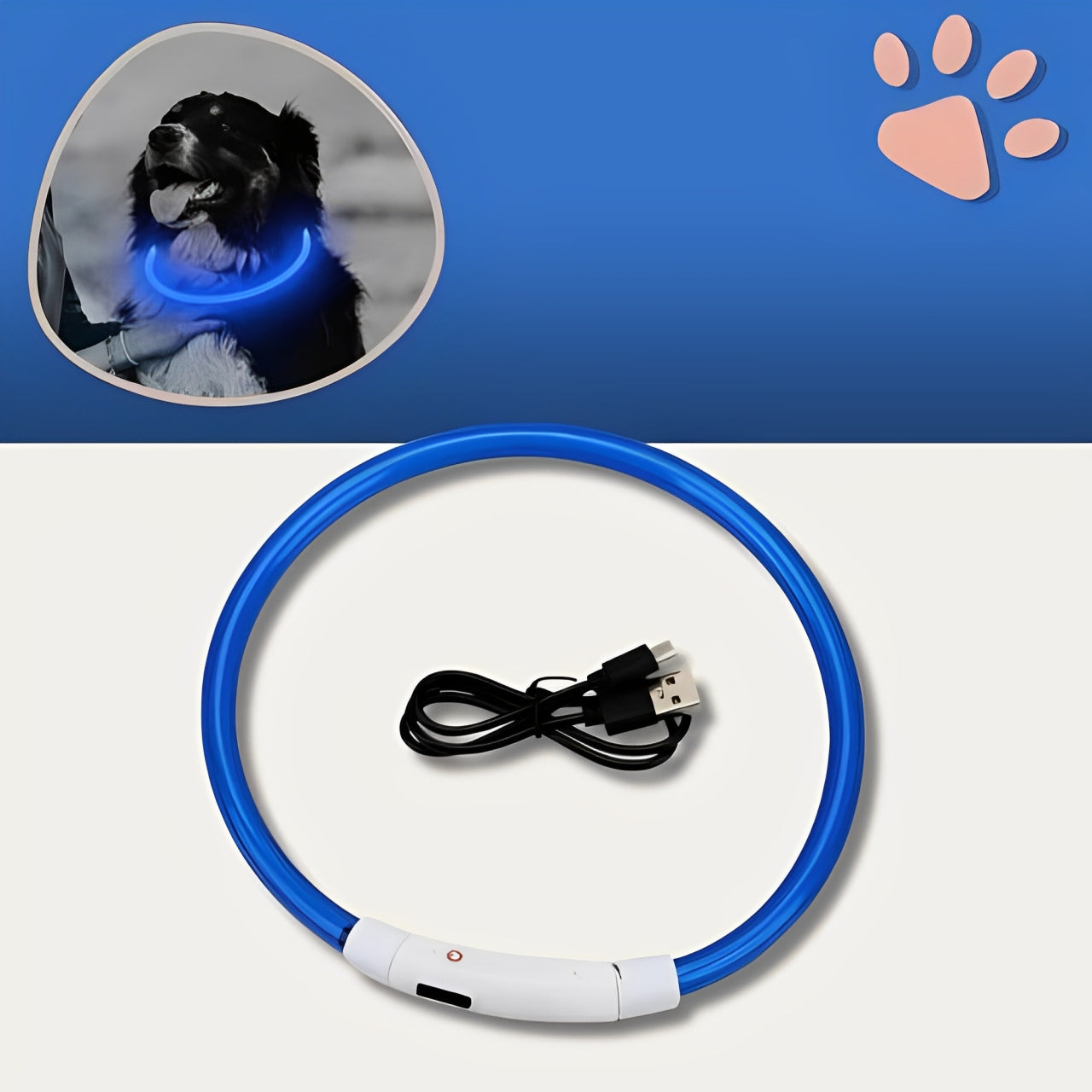 Collier lumineux pour chien la niche de jules jujulumcollar bleu