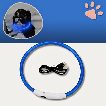 Collier lumineux pour chien la niche de jules jujulumcollar bleu