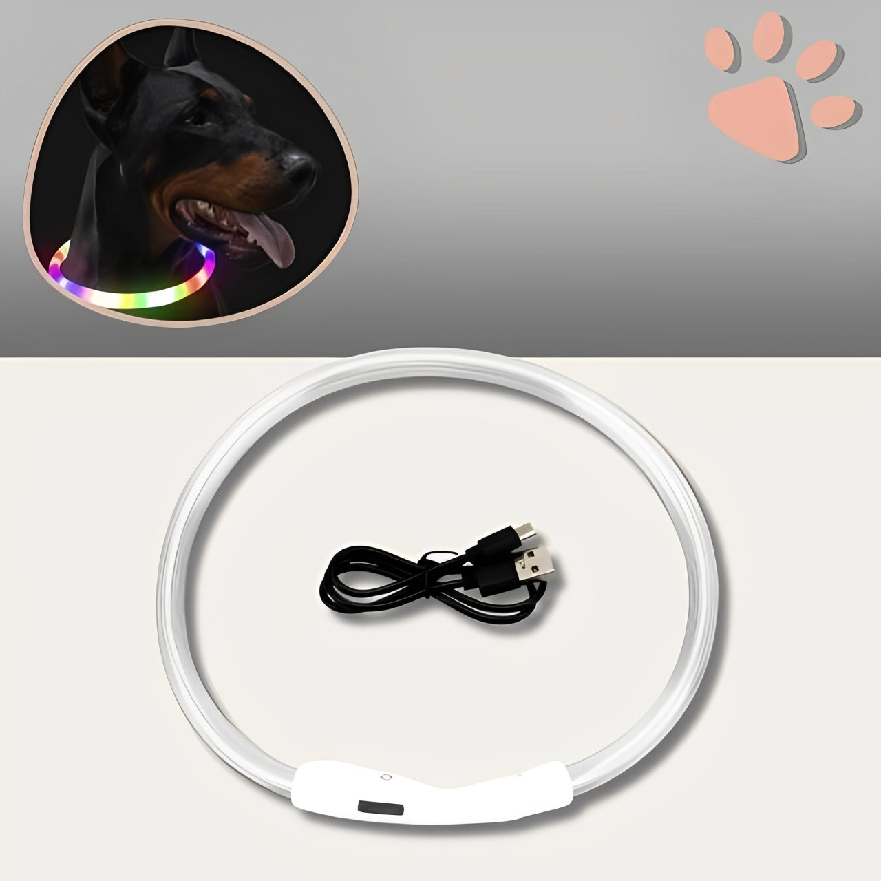 Collier lumineux pour chien la niche de jules jujulumcollar multicolore