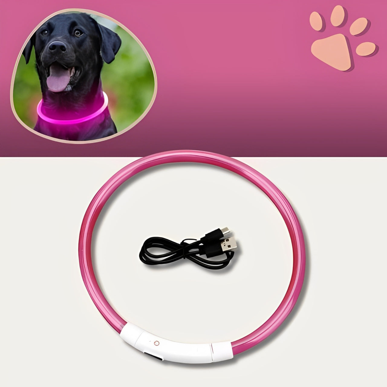 Collier lumineux pour chien la niche de jules jujulumcollar rose