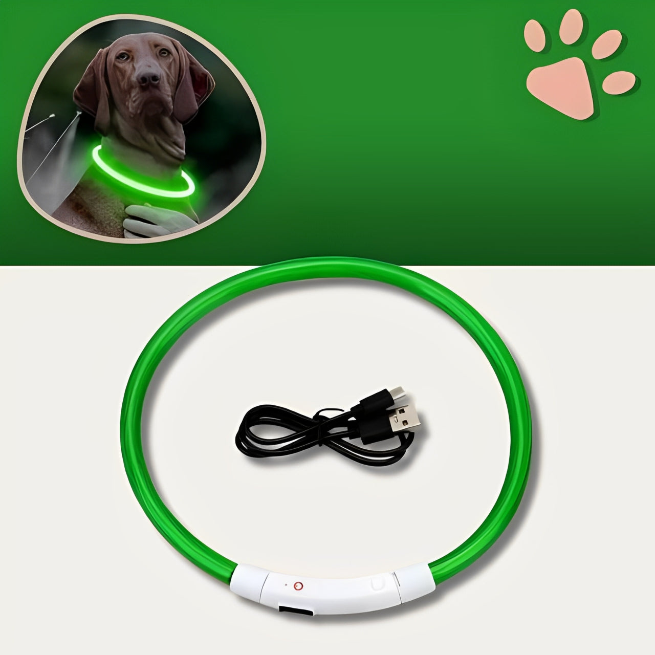 Collier lumineux pour chien la niche de jules jujulumcollar vert