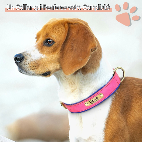 Collier pour Chien Personnalisé - Gravure sur Plaque Incluse | JuJuDeluxeName™