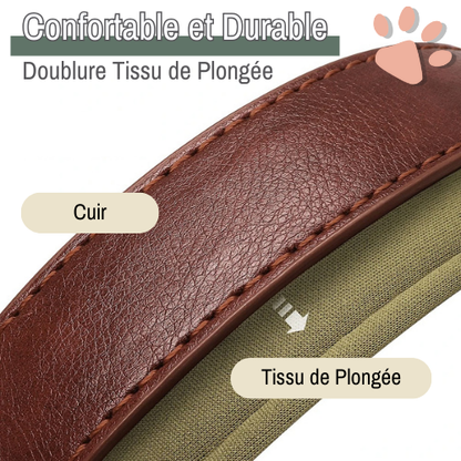 Collier pour Chien Personnalisé - Gravure sur Plaque Incluse | JuJuDeluxeName™