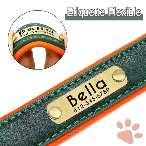 Collier pour Chien Personnalisé - Gravure sur Plaque Incluse | JuJuDeluxeName™