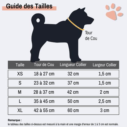 Collier pour Chien Personnalisé - Gravure sur Plaque Incluse | JuJuDeluxeName™