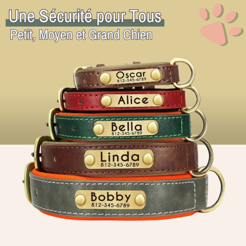 Collier pour Chien Personnalisé - Gravure sur Plaque Incluse | JuJuDeluxeName™