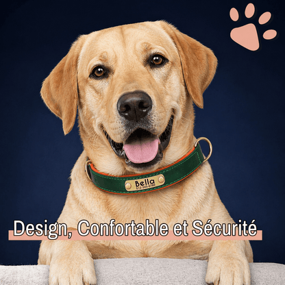 Collier personnalise pour grand chien nom personnalisable la niche de jules jujudeluxename design confortable