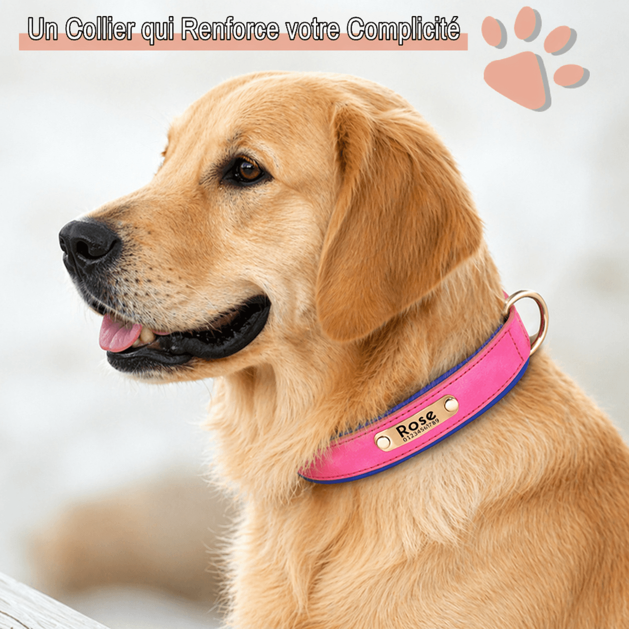 Collier personnalise pour grand chien nom personnalisable la niche de jules jujudeluxename complicité