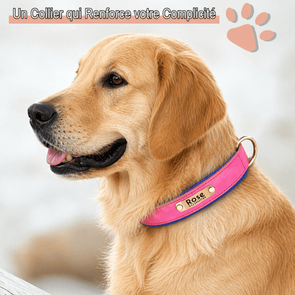Collier personnalise pour grand chien nom personnalisable la niche de jules jujudeluxename complicité