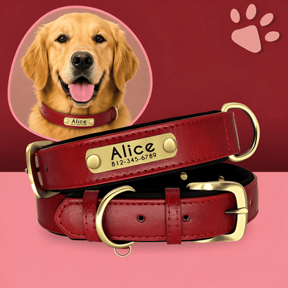 Collier personnalise pour grand chien nom personnalisable la niche de jules jujudeluxename rouge