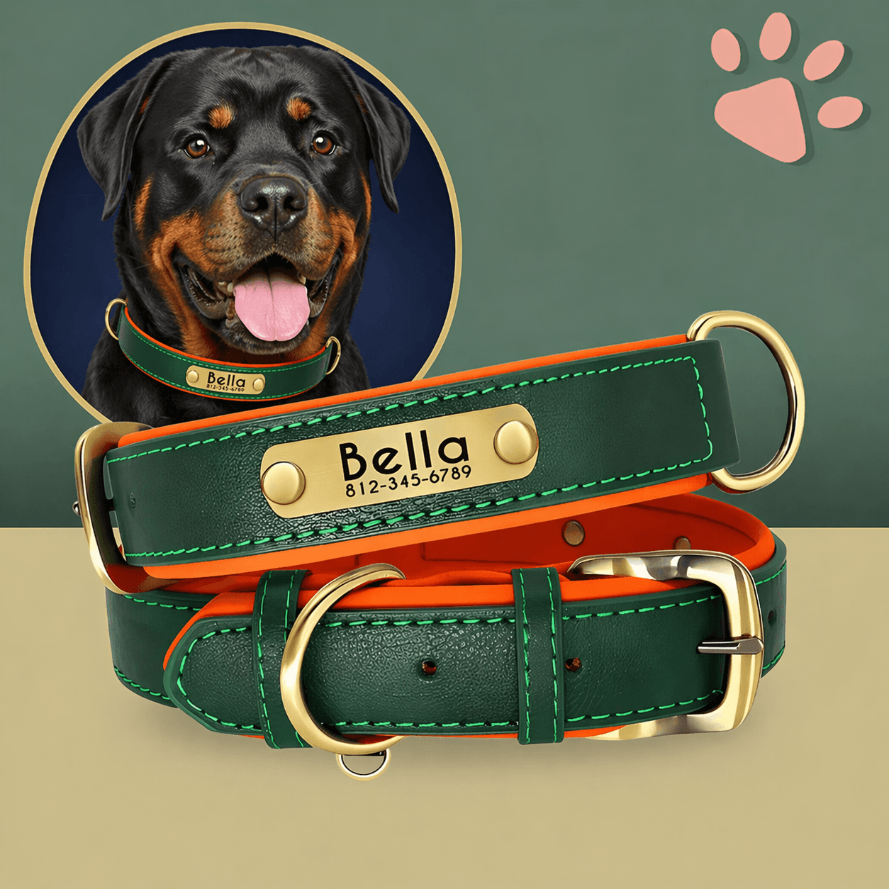 Collier personnalise pour grand chien nom personnalisable la niche de jules jujudeluxename vert