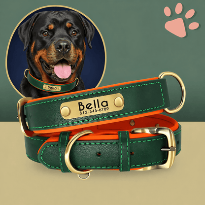 Collier personnalise pour grand chien nom personnalisable la niche de jules jujudeluxename vert