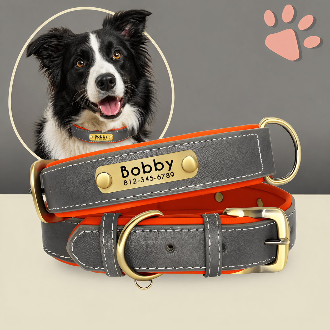 Collier personnalise pour moyen chien nom personnalisable la niche de jules jujudeluxename gris border collie