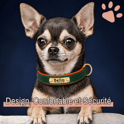Collier personnalisé pour petit chien nom personnalisable la niche de jules jujudeluxename confortable sécurité chihuahua