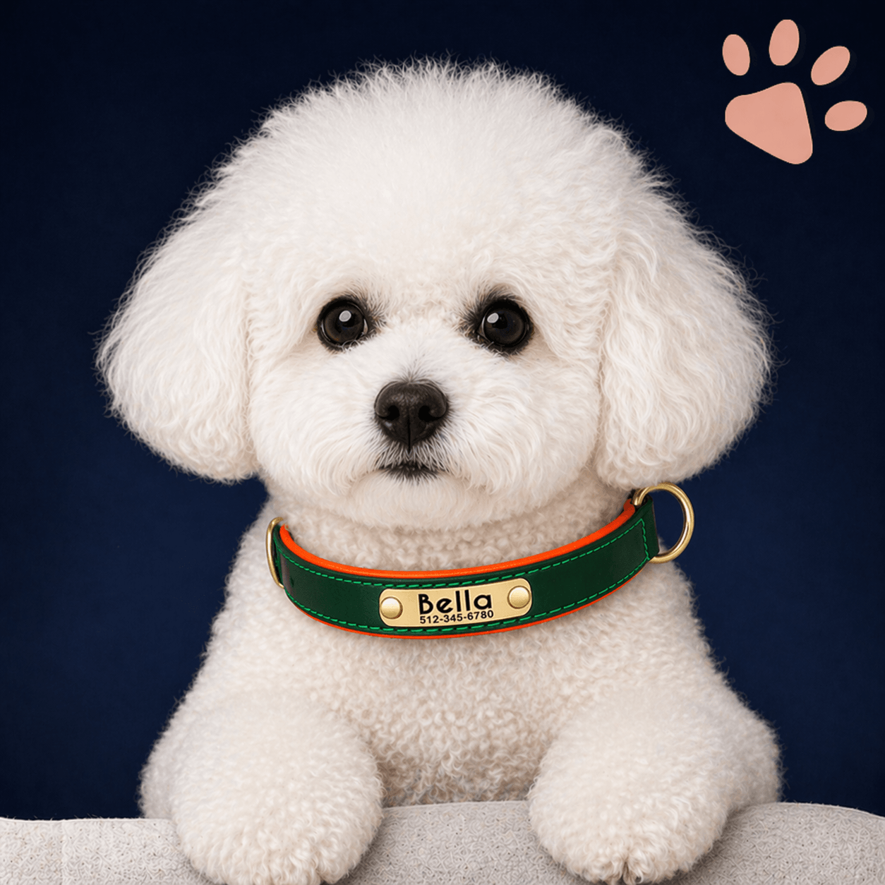 Collier personnalisé pour petit chien nom personnalisable la niche de jules jujudeluxename design bichon