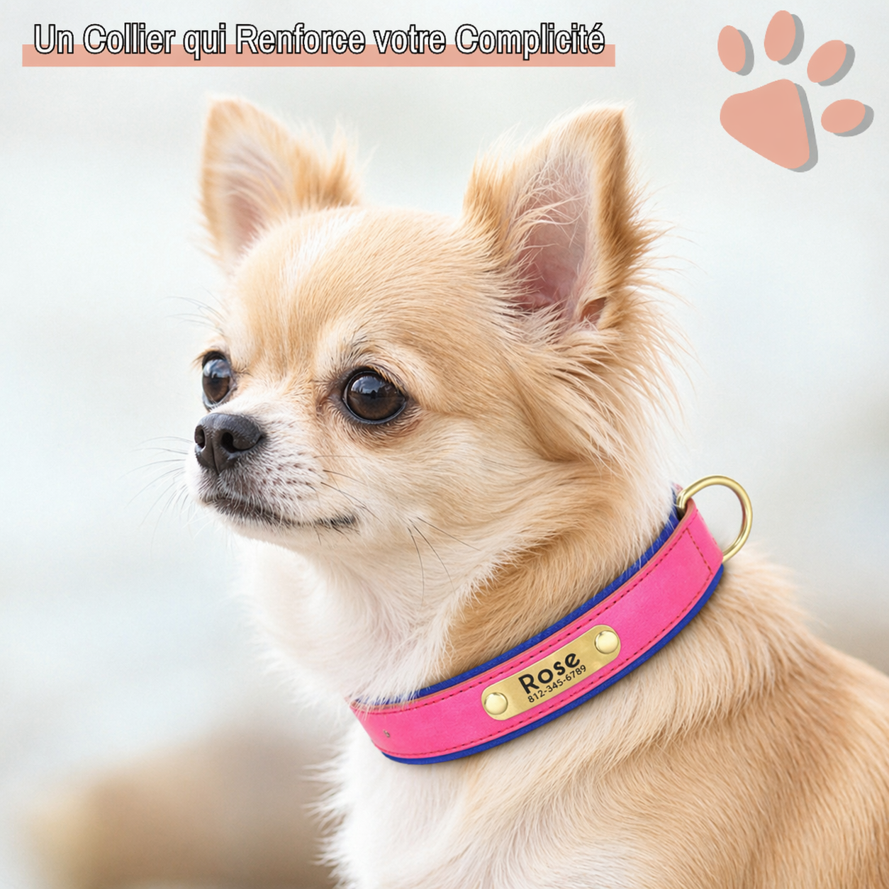 Collier personnalisé pour petit chien nom personnalisable la niche de jules jujudeluxename complicité Spitz