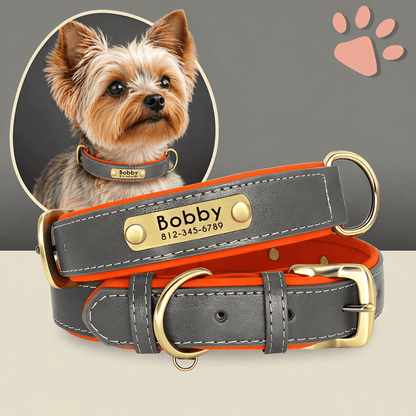 Collier personnalisé pour petit chien nom personnalisable la niche de jules jujudeluxename gris Yorkshire