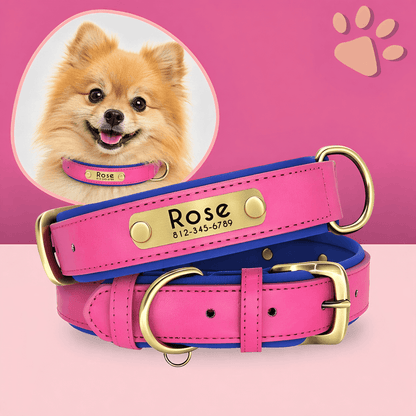 Collier personnalisé pour petit chien nom personnalisable la niche de jules jujudeluxename rose Spitz