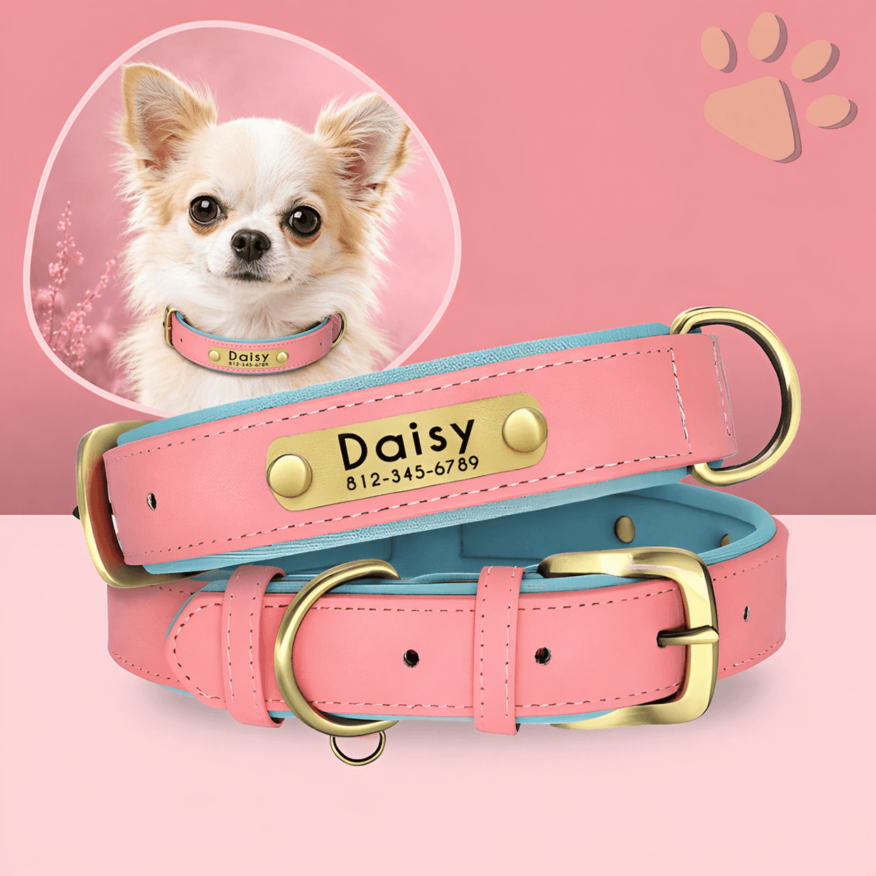 Collier personnalisé pour petit chien nom personnalisable la niche de jules jujudeluxename rose pale chihuahua