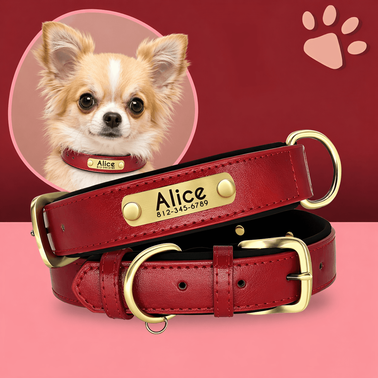 Collier personnalisé pour petit chien nom personnalisable la niche de jules jujudeluxename rouge Spitz