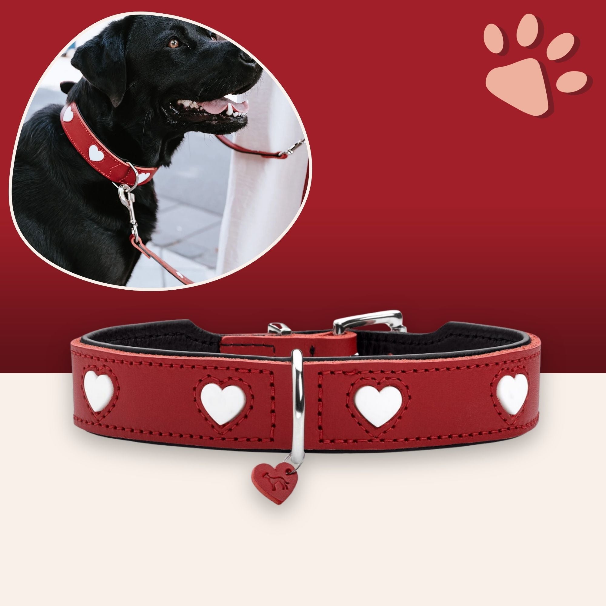 Collier en cuir pour Chien Hunter Love Rouge la niche de jules JuJuLoveCollar variante