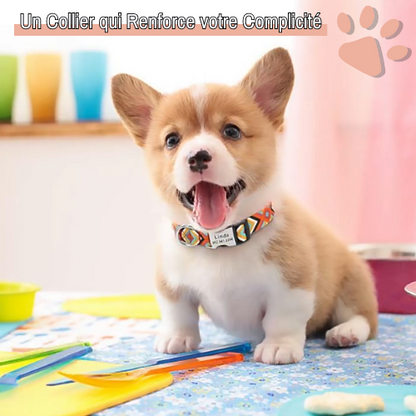 Collier pour chien personnalisé prénom téléphone personnalisable la niche de jules jujucollartag1 renforce la complicité