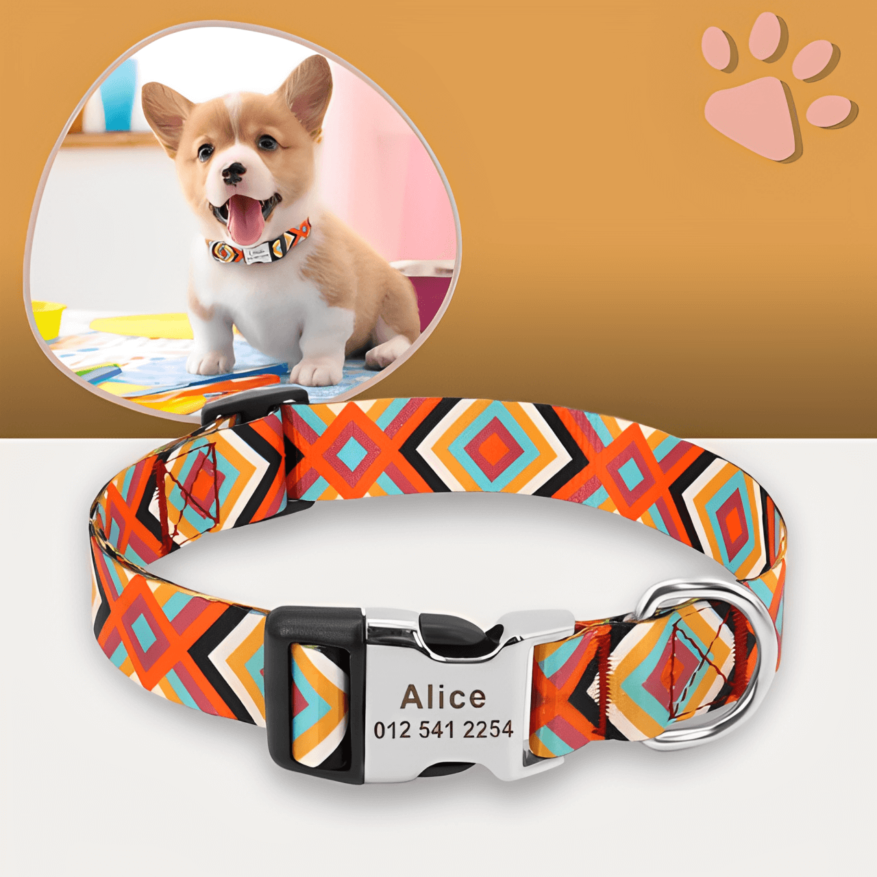 Collier pour chien personnalisé prénom téléphone personnalisable la niche de jules jujucollartag1 variante 3