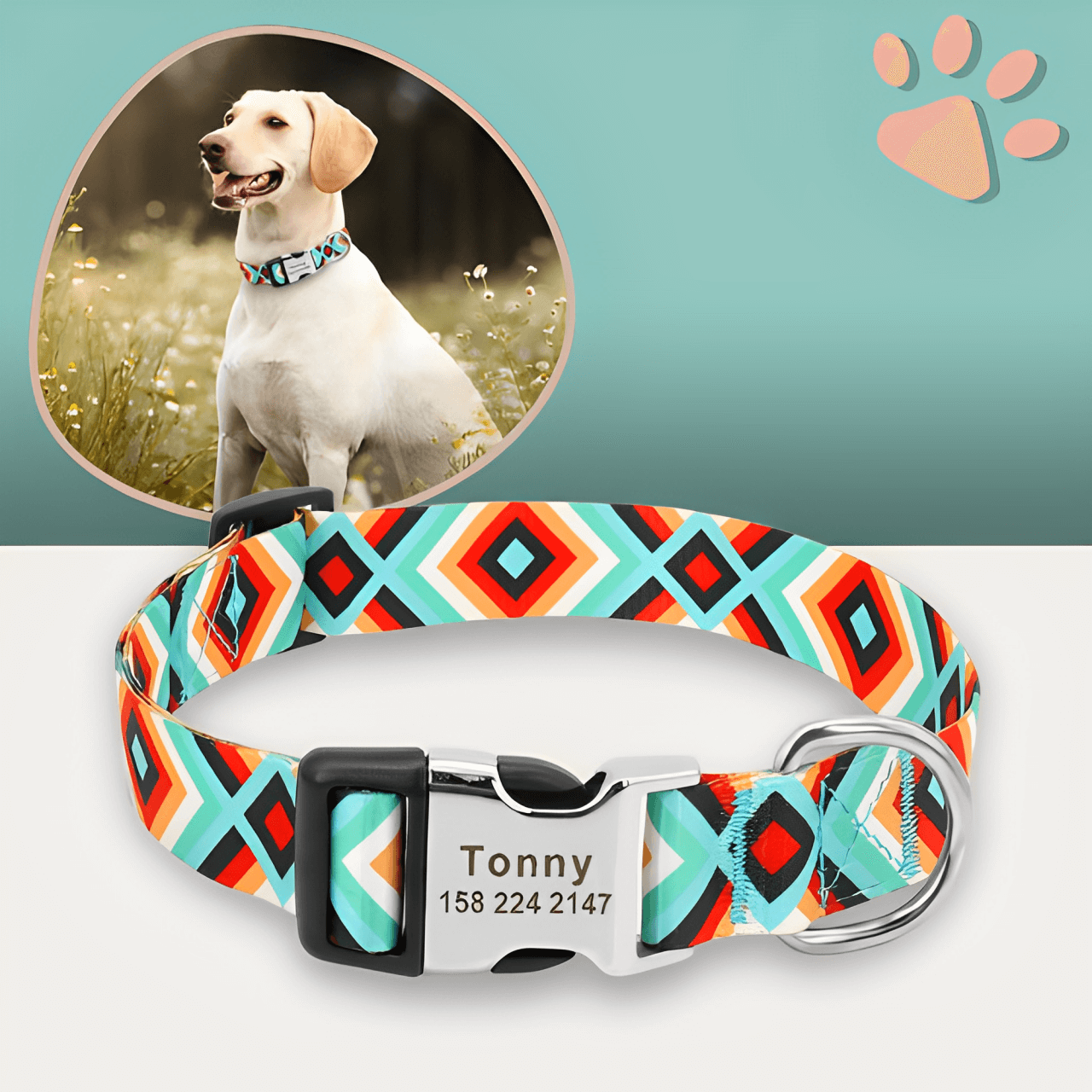 Collier pour chien personnalisé prénom téléphone personnalisable la niche de jules jujucollartag1 variante 2