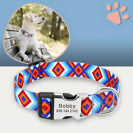 Collier pour chien personnalisé prénom téléphone personnalisable la niche de jules jujucollartag1 variante 1