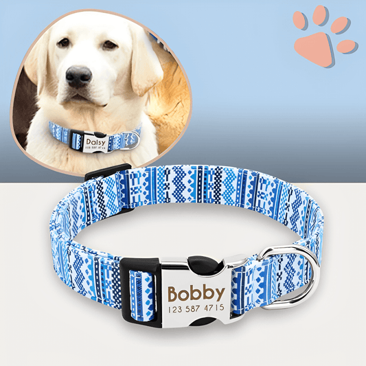Collier pour chien personnalise prenom telephone personnalisable la niche de jules jujucollartag2 variante 01
