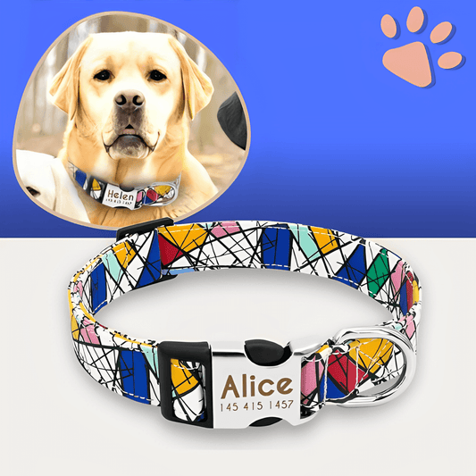 Collier pour chien personnalise prenom telephone personnalisable la niche de jules jujucollartag2 variante 03