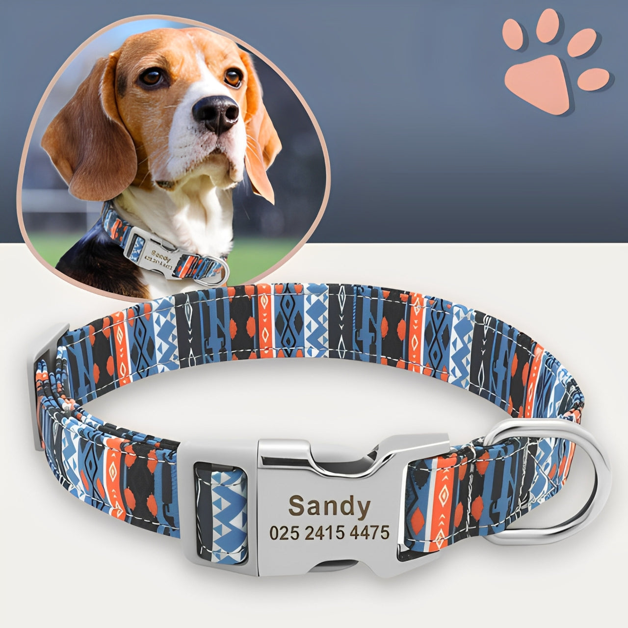 Collier pour chien personnalise prenom telephone personnalisable la niche de jules jujucollartag4 variante1 multicouleur sandy