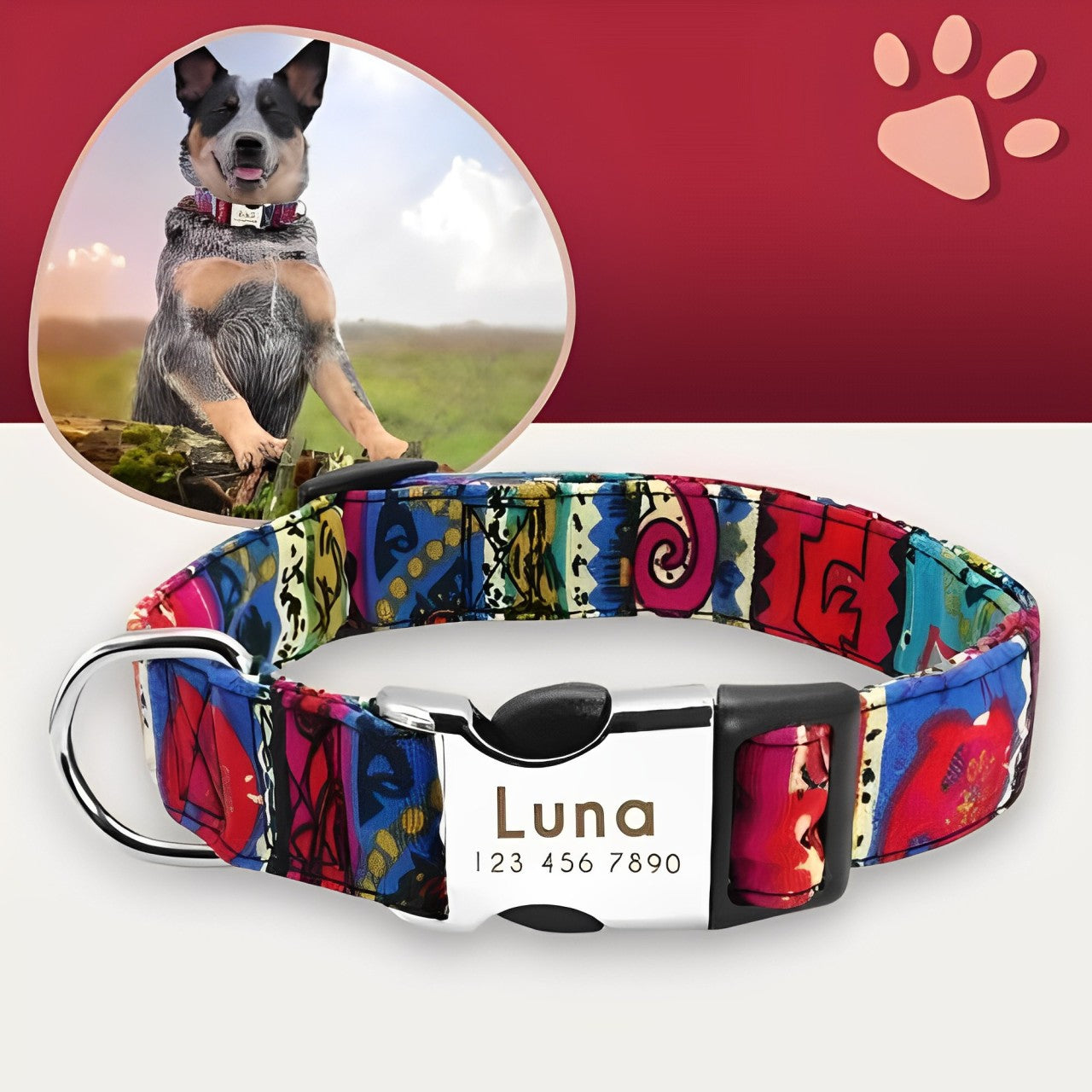 Collier pour chien personnalisé prénom téléphone personnalisable la niche de jules jujucollartag5 rouge rosé
