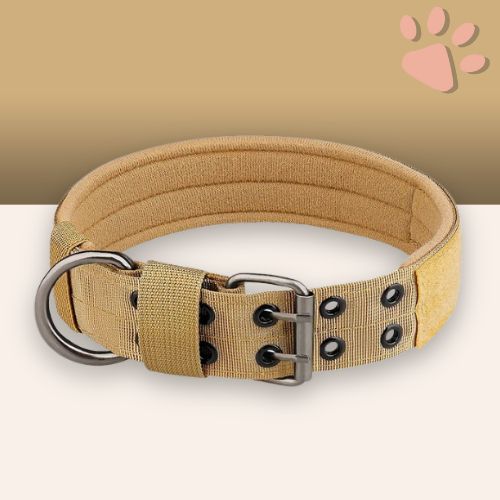 Collier pour chien tactique jujutactikcol la niche de jules beige