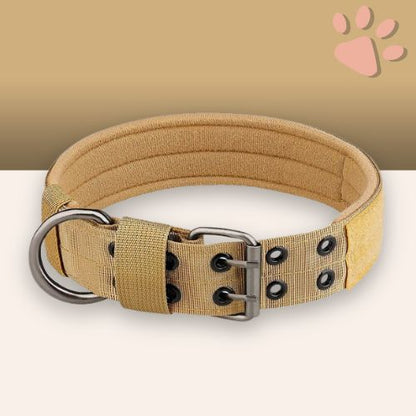 Collier pour chien tactique jujutactikcol la niche de jules beige