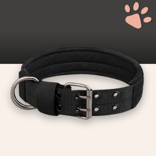 Collier pour chien tactique jujutactikcol la niche de jules noir