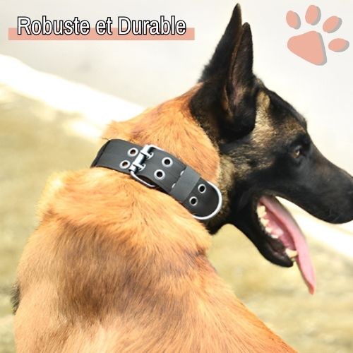 Collier pour chien tactique jujutactikcol la niche de jules robuste durable
