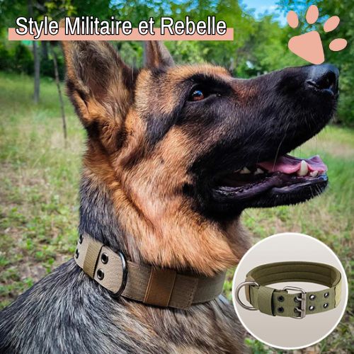 Collier pour chien tactique jujutactikcol la niche de jules style militaire