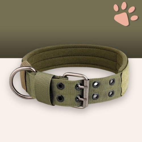 Collier pour chien tactique jujutactikcol la niche de jules vert militaire