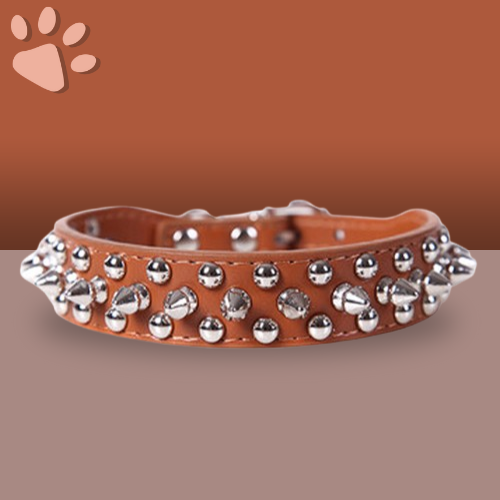 collier punk pour chien la niche de jules punkyjuju kahki marron