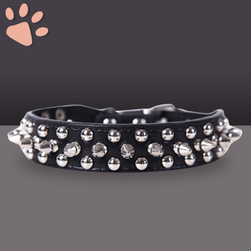 collier punk pour chien la niche de jules punkyjuju noir