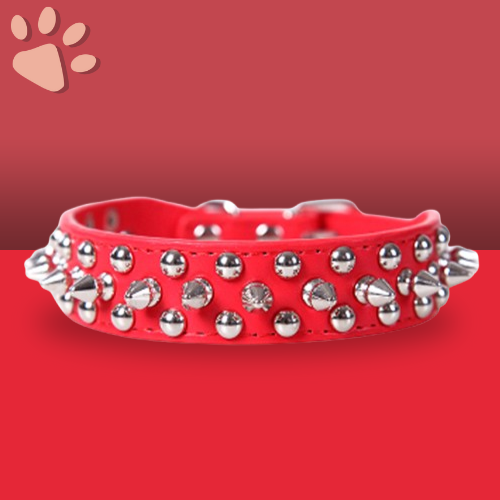 Collection "Seconde Patte 🐾" - Des produits de qualité à prix doux pour vos animaux