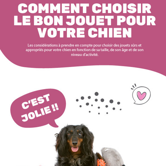 Ebook | Comment choisir le bon jouet pour votre chien ? - 7 pages