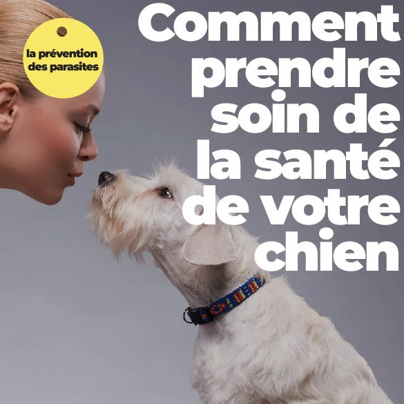 Comment prendre soin de la santé de votre chien ebook