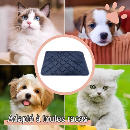 Coussin auto chauffant jujuthermocozy la niche de jules adapté toutes races