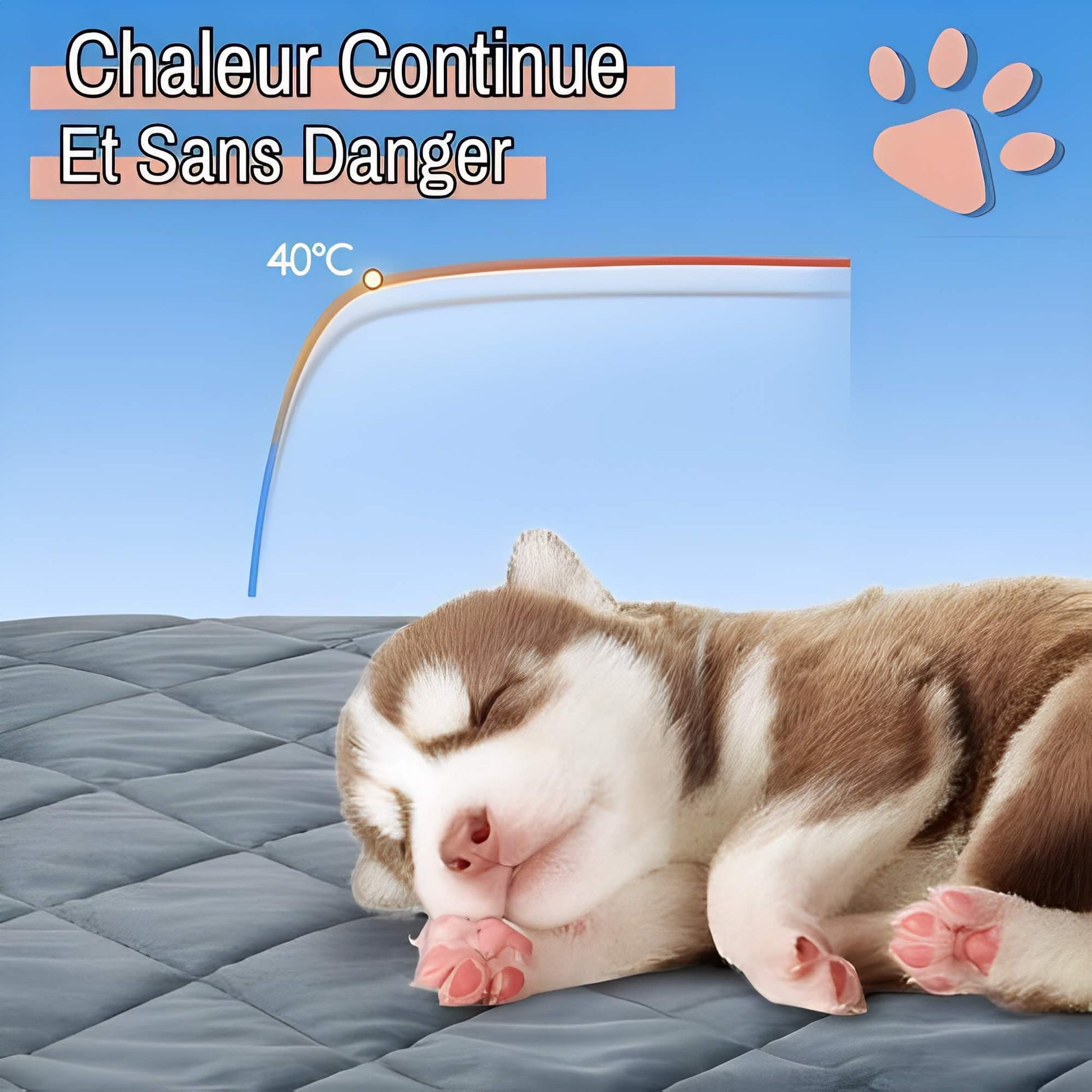 Coussin auto chauffant jujuthermocozy la niche de jules chaleur continue sans danger