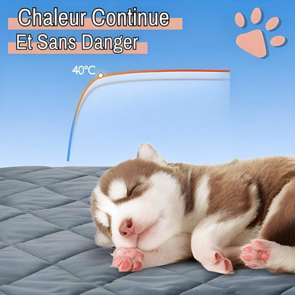Coussin auto chauffant jujuthermocozy la niche de jules chaleur continue sans danger