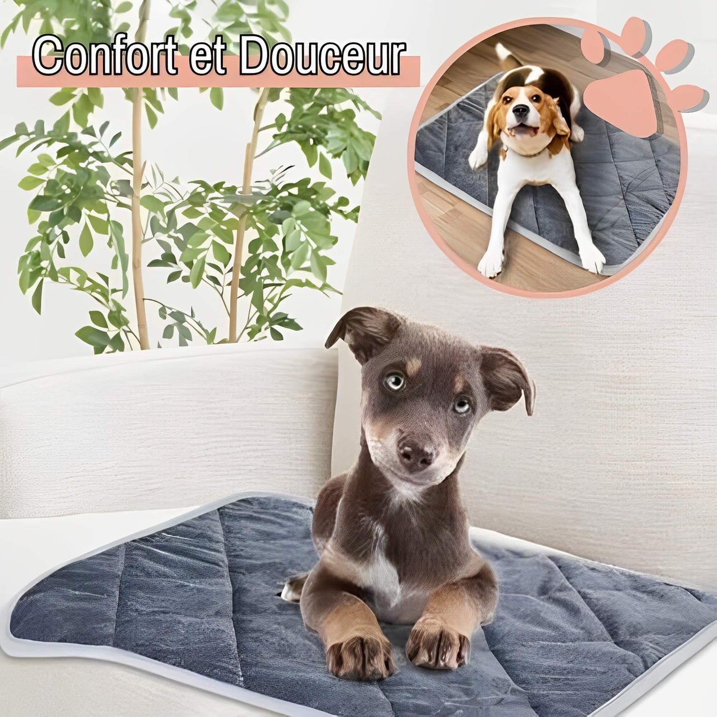 Coussin auto chauffant jujuthermocozy la niche de jules confort douceur